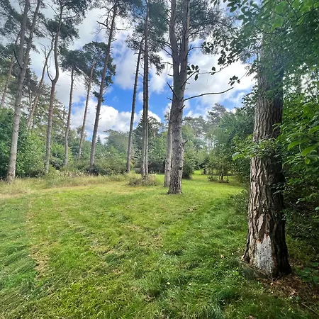 Holiday home Ferienhaeuser Insel Usedom Waldhaus 2 Mit Whirlpool - Direkt Am Achterwasser Lutow