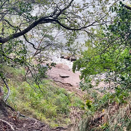 Ferienhaeuser Insel Usedom Waldhaus 2 Mit Whirlpool - Direkt Am Achterwasser Holiday home