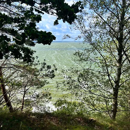 Ferienhaeuser Insel Usedom Waldhaus 2 Mit Whirlpool - Direkt Am Achterwasser *