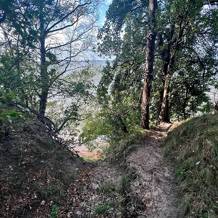 Ferienhaeuser Insel Usedom Waldhaus 2 Mit Whirlpool - Direkt Am Achterwasser