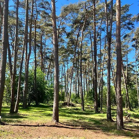 Ferienhaeuser Insel Usedom Waldhaus 2 Mit Whirlpool - Direkt Am Achterwasser Holiday home