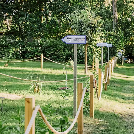 Ferienhaeuser Insel Usedom Waldhaus 2 Mit Whirlpool - Direkt Am Achterwasser Holiday home Lutow